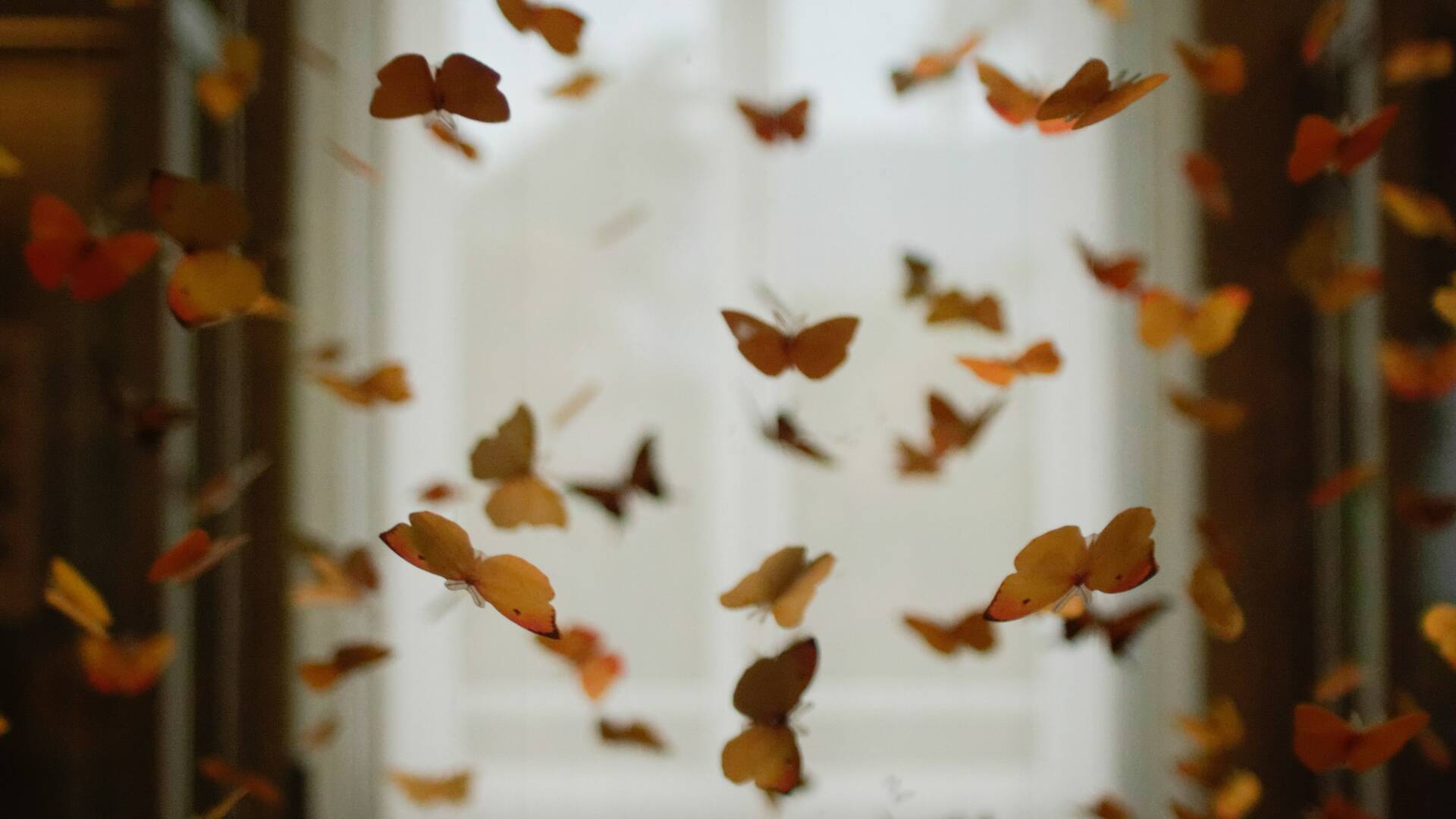 Schmetterlinge © Pexels/Rafael Cerqueira