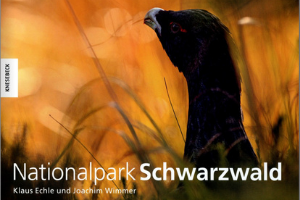 Baiersbronn Magazin_Cover_Buch_Nationalpark Schwarzwald