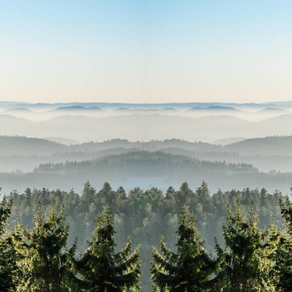 Schwarzwald Panorama_(c)Adobe:Corri Seizinger