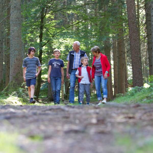 Mehrgenerationenurlaub Wandern im Wald - Baiersbronn